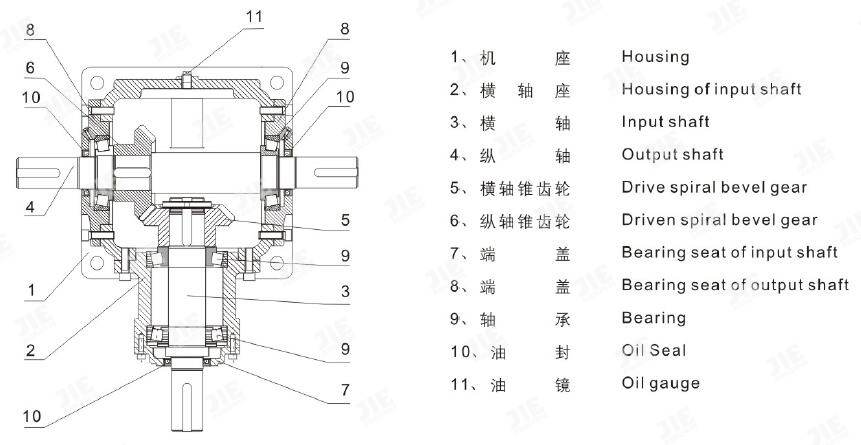 EBET�ײ�(�й���)�ٷ���վ